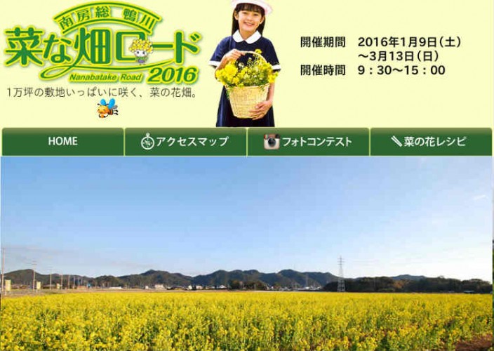 鴨川の菜の花ロード