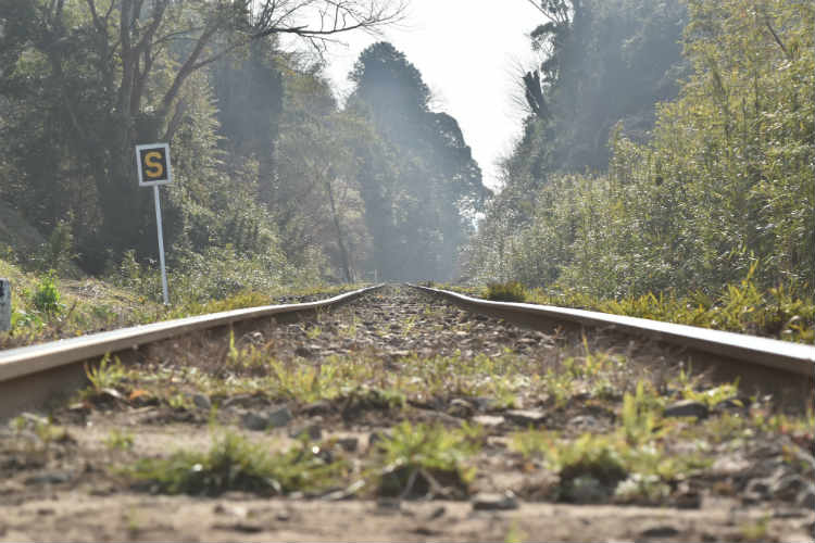 小湊鉄道の線路