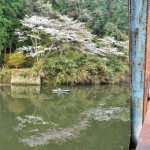 三島湖の水面に写る桜とカヤック
