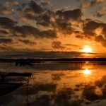 印旛沼の日の出撮影