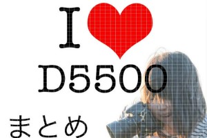 D5500一年レビューとまとめ記事