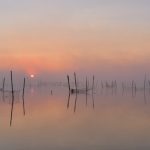霧の印旛沼日の出