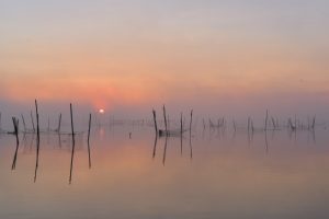 霧の印旛沼日の出