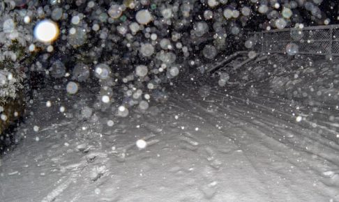 雪の写真をストロボで撮影
