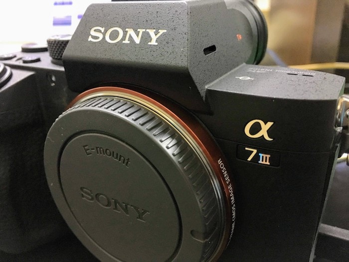 ソニーα7Ⅲ購入レビュー高性能なフルサイズミラーレスカメラ | カメラアマ